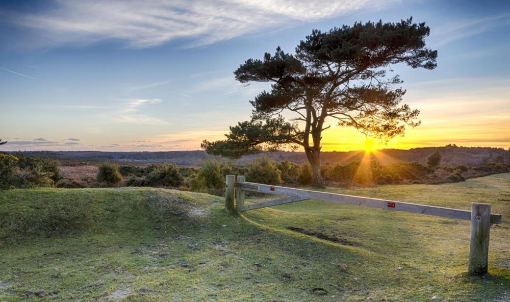 The Knightwood Oak A Luxury King Size En-Suite Space - Lymington New Forest With Totally Private Entrance - Key Box Entry - Free Parking & Private Outdoor Seating Area - Town ,Shops , Pubs & Solent Way Walking Distance & Complimentary Breakfast Items Buitenkant foto